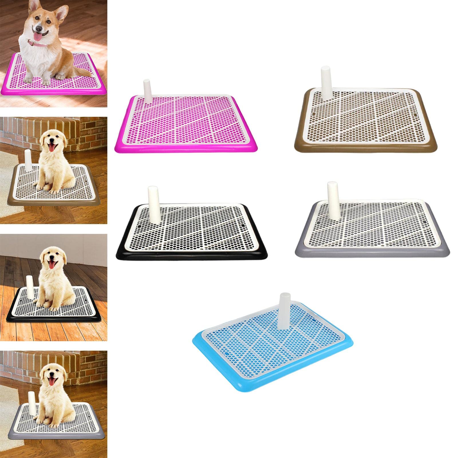 Dog Toilet Training Potty Tray (63.5x43x5cm) 1 pcs