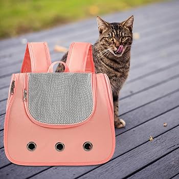 Cat Travel Backpack - Space Pet Hiking Backpack
