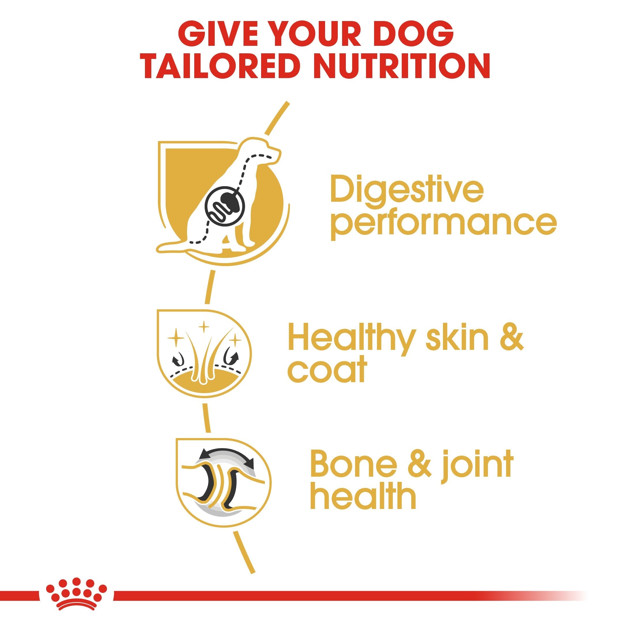 Royal Canin German Shepherd Adult (3 KG) - Dry food for adult dogs over 15 months - Amin Pet Shop