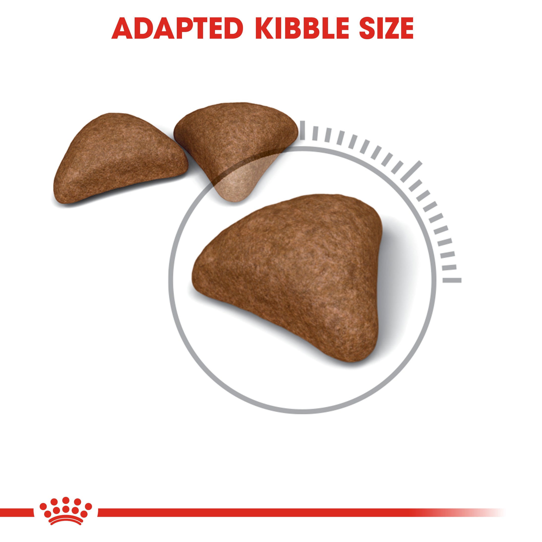 Royal Canin Hairball care (2 KG) - Dry food for adult cats - helps reduce hairball formation