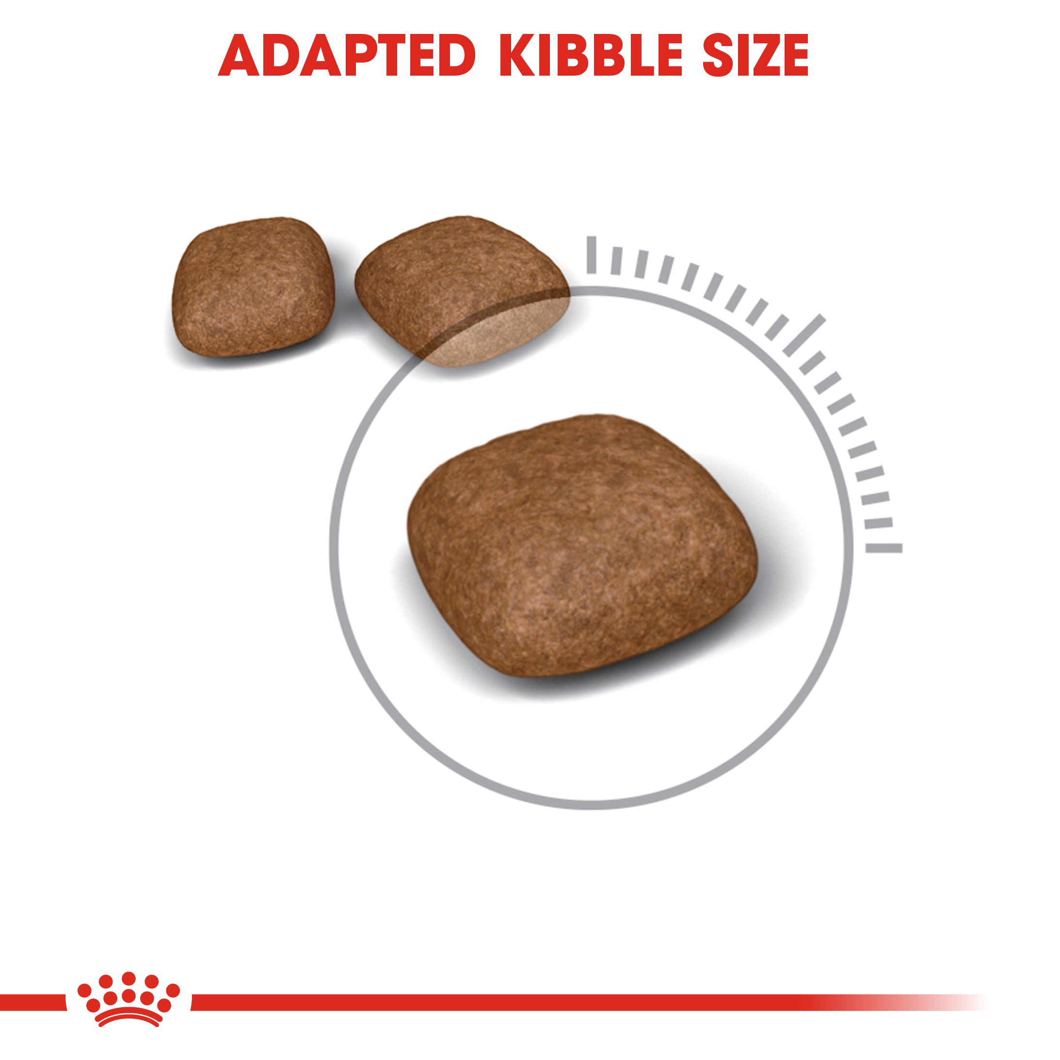 Royal Canin Urinary care (2KG)- Dry food for adult cats - Helps maintain urinary tract health