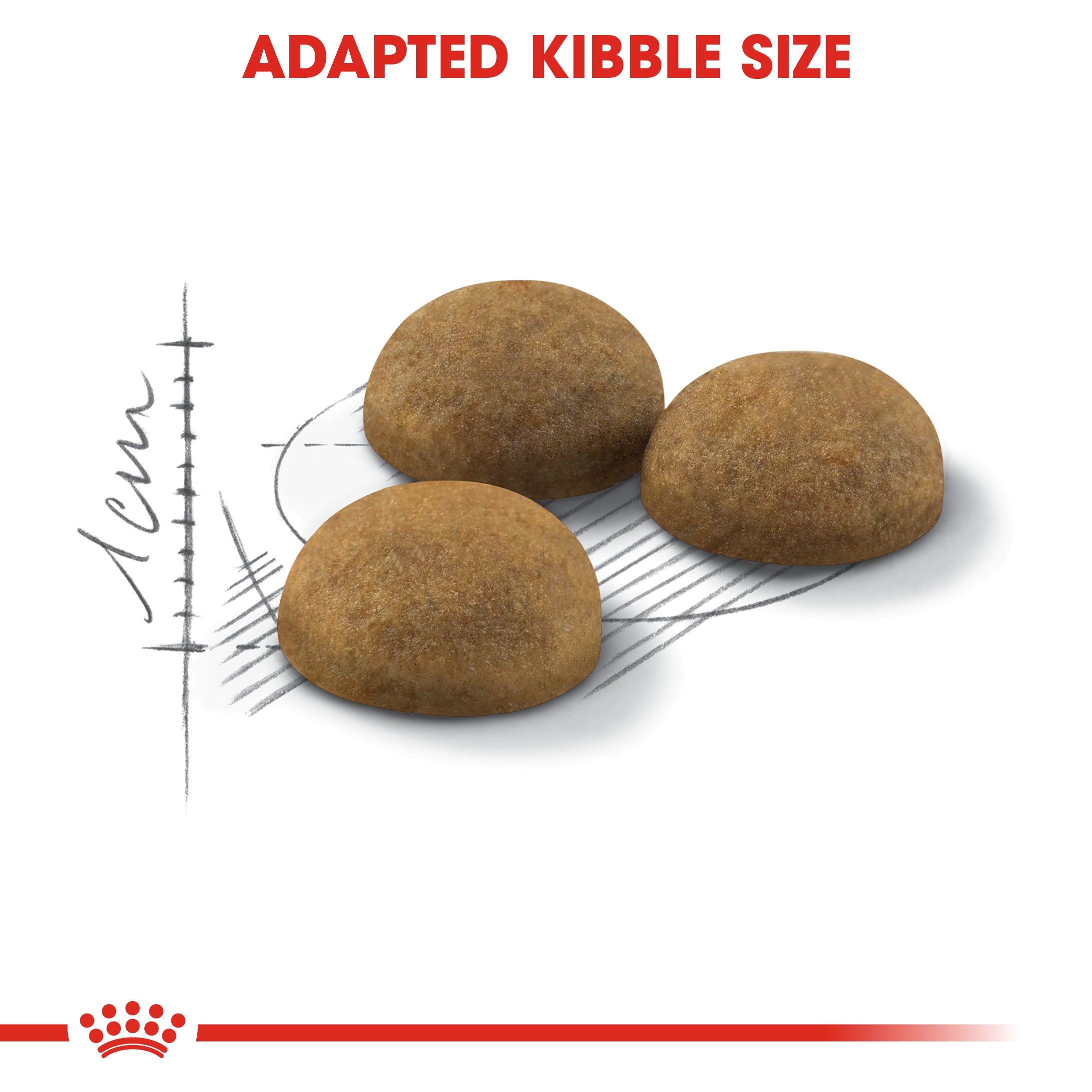 Royal Canin Indoor Long Hair (400g) - Dry Food for Indoor long-haired cats