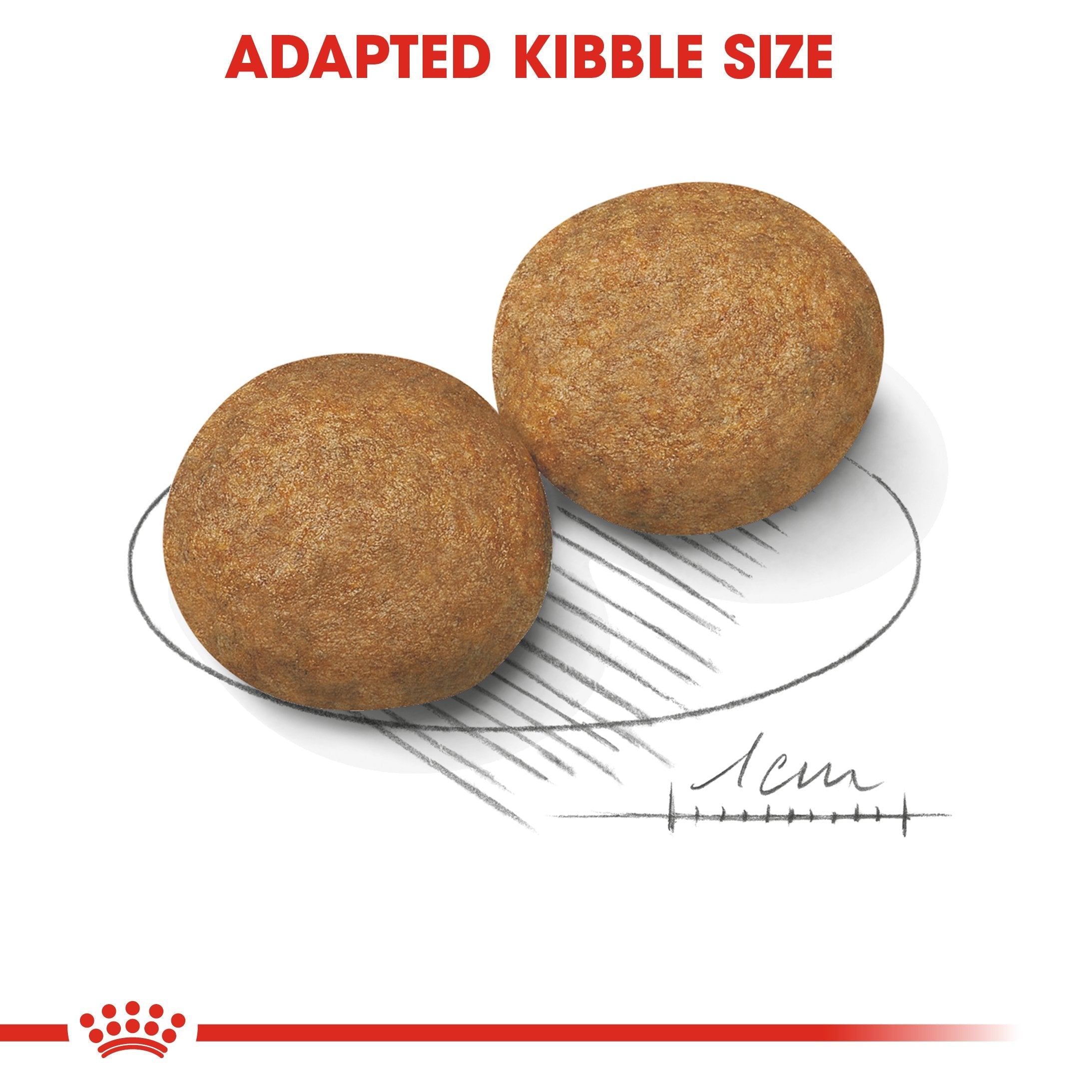 Royal Canin Medium Adult (4 KG) - Dry food for medium dogs from 11 to 25 KG. From 12 months to 7 years - Amin Pet Shop