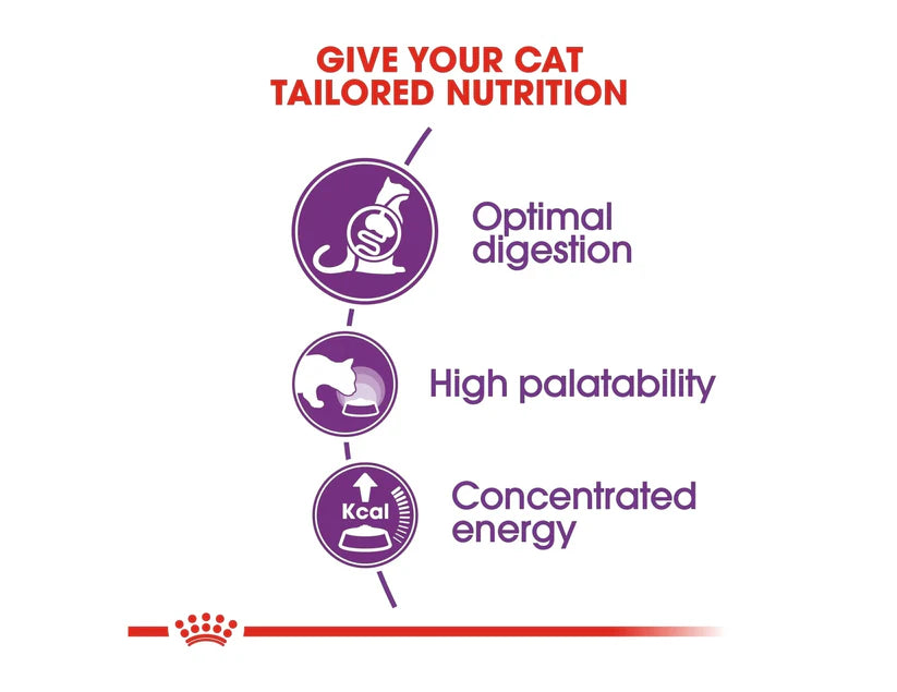 Royal Canin Regular Sensible Dry Food for Sensitive Adult Cats (1+ Years) 400 gr