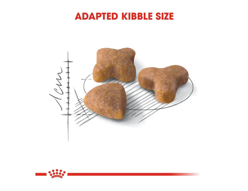 Royal Canin Regular Sensible Dry Food for Sensitive Adult Cats (1+ Years) 400 gr