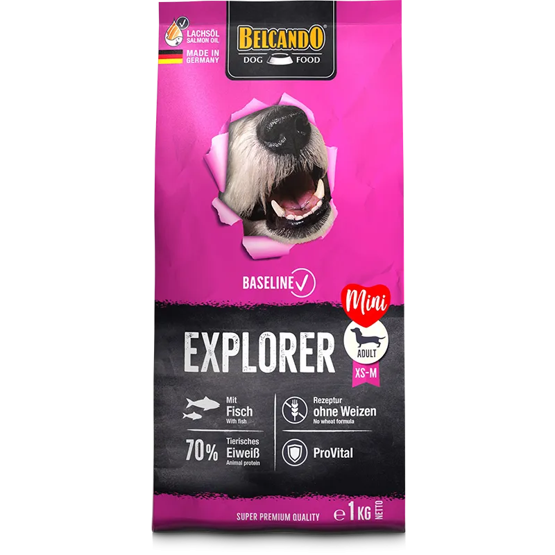 BELCANDO Explorer  ADULT XL_M