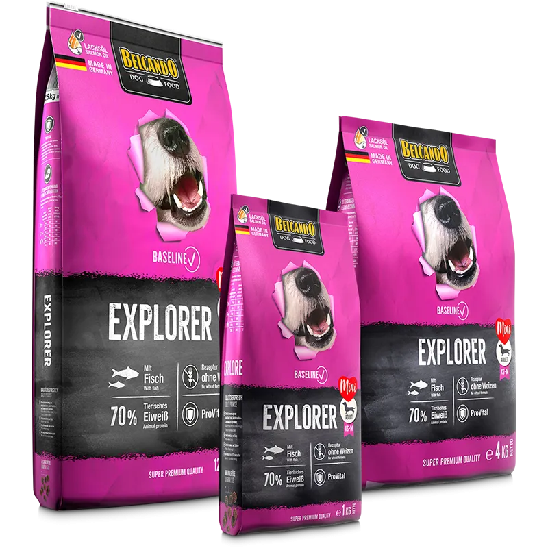 BELCANDO Explorer  ADULT XL_M