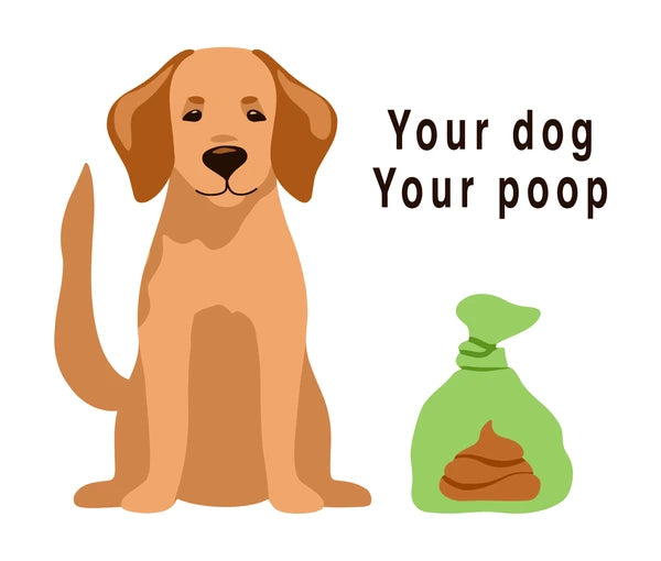 10 roll Dog Poop Bags Assort Color Pet Waste, Poopbag Clean Up Refills Roll