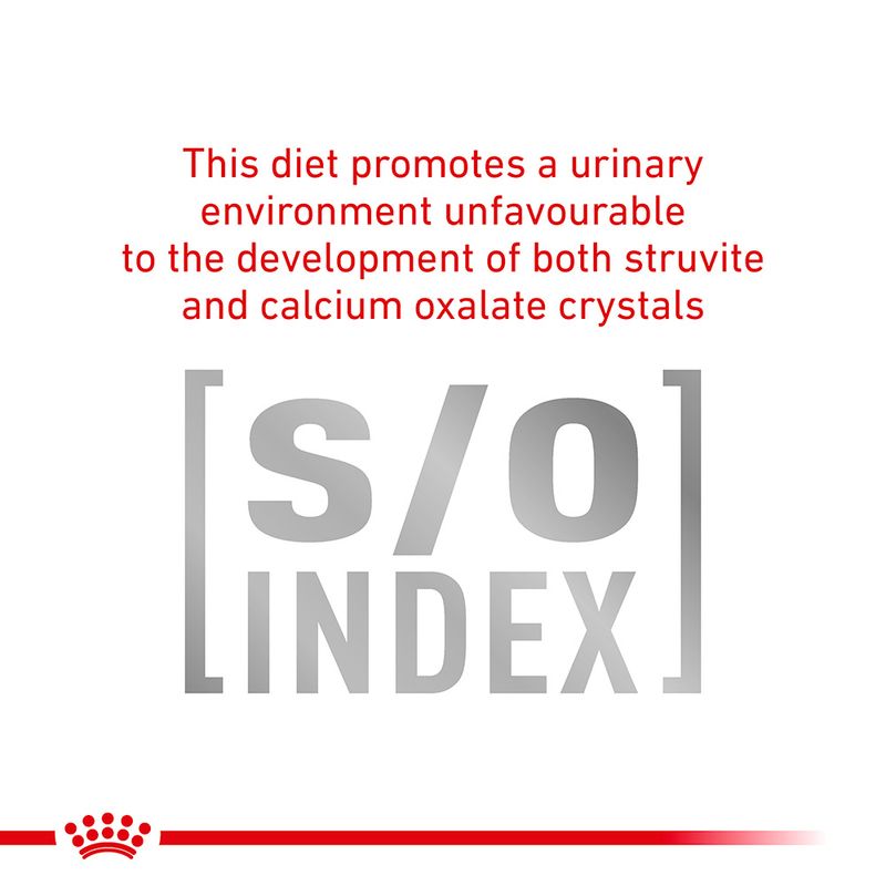 Royal Canin Veterinary Feline Urinary S/O in Gravy85g