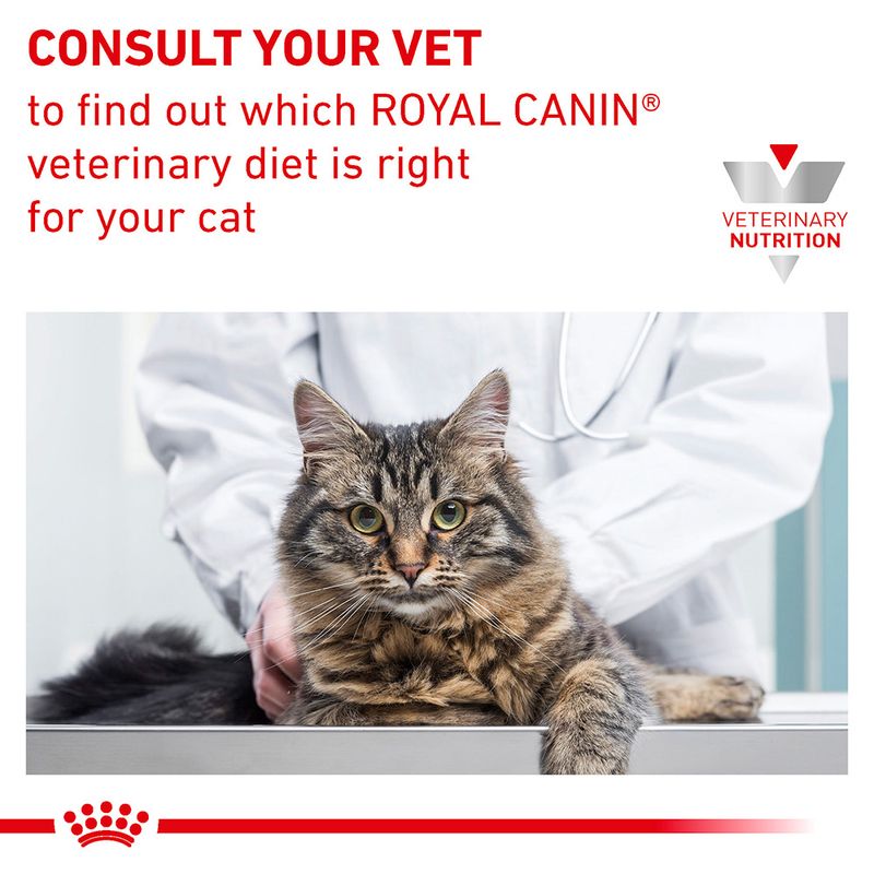Royal Canin Veterinary Feline Urinary S/O in Gravy85g