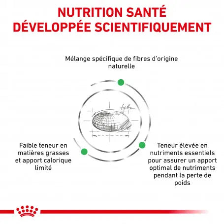 Royal Canin Satiety Weight Management Dry Food for Adult Cats .