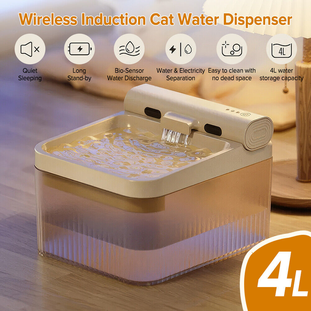 Automatic feeder,Operated 4l Cat Chip Water