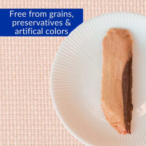 Inaba Grilled Tuna Fillet Cat Treat in Calamari Flavored Broth 15 gr